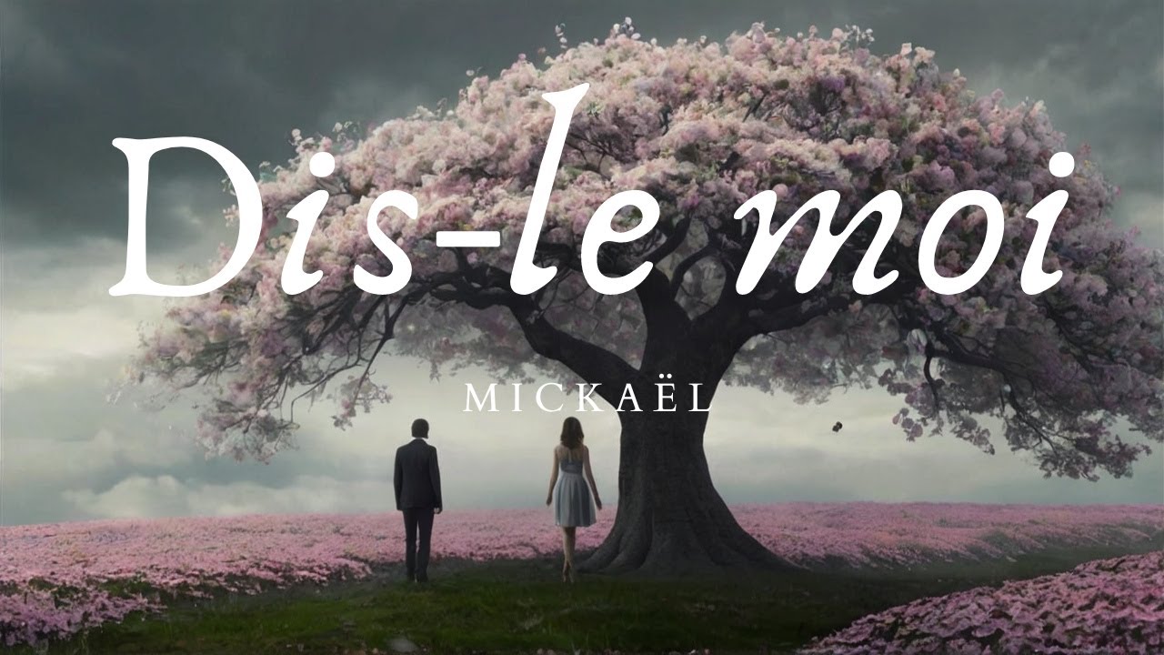 DIS-LE MOI (chanson écrite et chantée par Mike) #foryou #pourtoi #