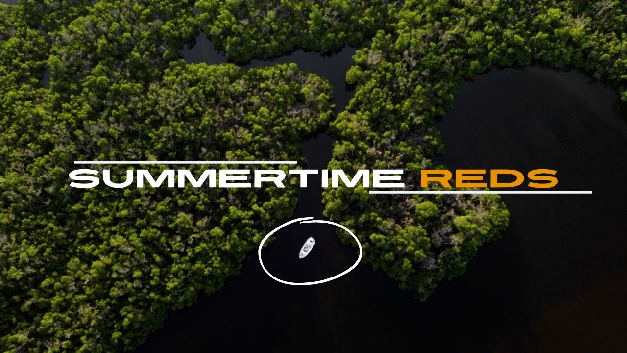 Exploring Shallow Mangrove Lines with Artificials