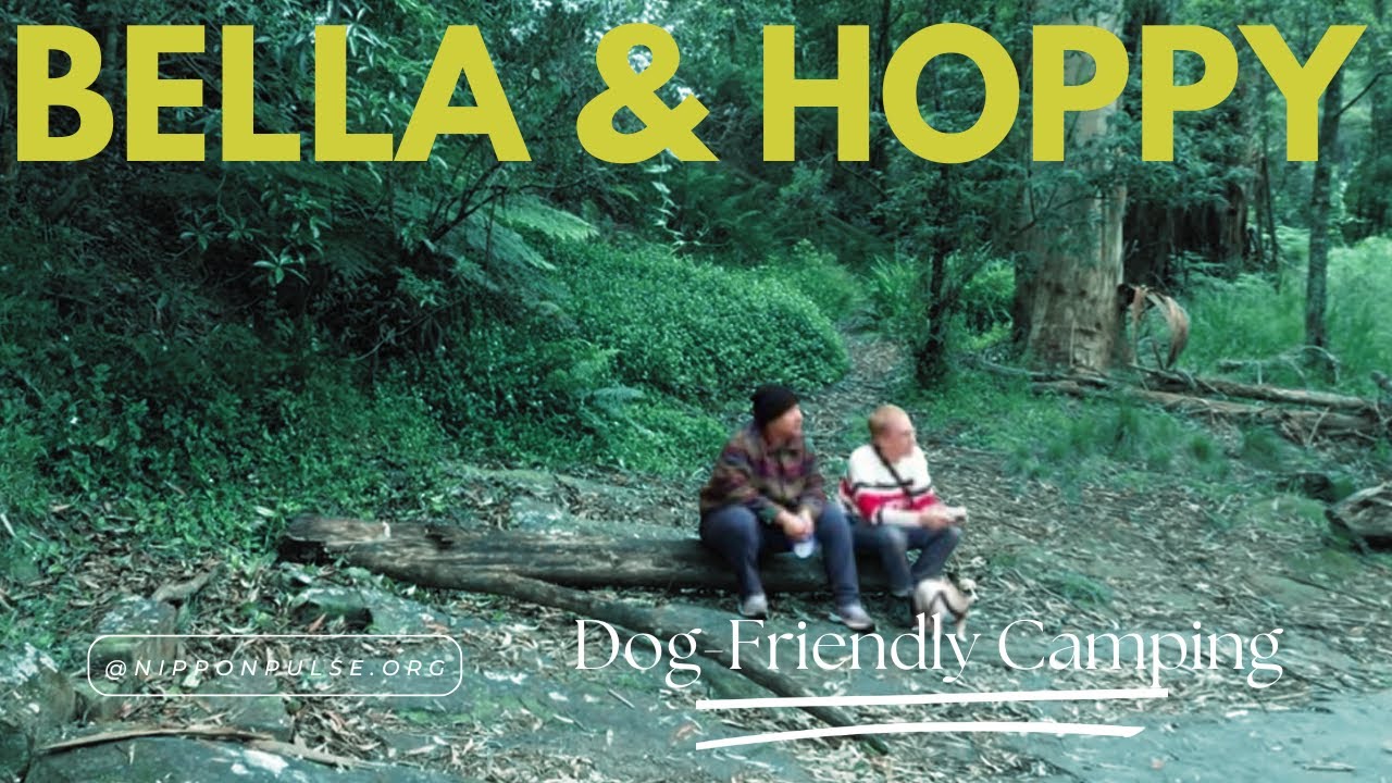 Best Friend Holiday Retreat Victoria Australia dog retreat camping