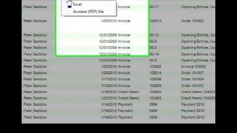 Nav Pivotier Report Viewer Video