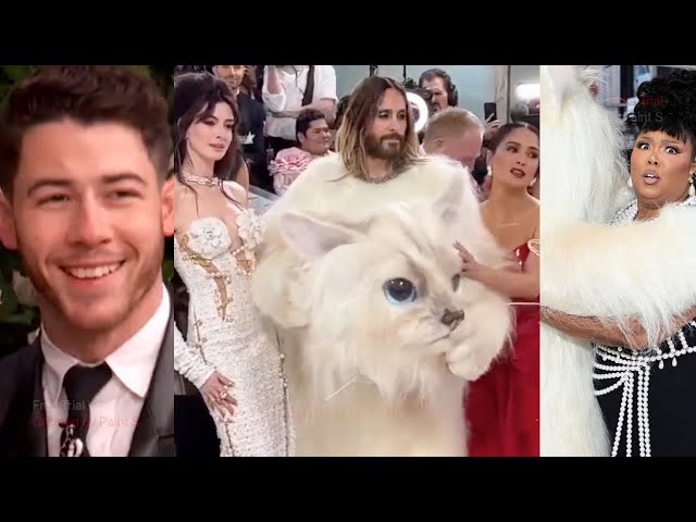 Aubrey Plaza had a brutal response to Jared Leto's Met Gala cat outfit