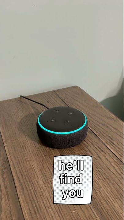 Fun Things To Say To Alexa YouTube fun-things-to-say-to-alexa-youtube