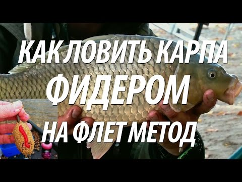 ФИДЕРНАЯ РЫБАЛКА НА КАРПА ОСЕНЬЮ. РЫБА КАРП НА ФИДЕРНЫЕ КОРМУШКА ФЛЕТ МЕТОД ФИДЕРНАЯ РЫБАЛКА НА КАРПА ОСЕНЬЮ. РЫБА КАРП НА ФИДЕРНЫЕ КОРМУШКА ФЛЕТ МЕТОД