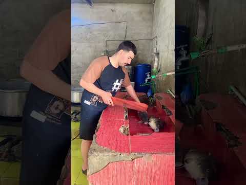 جديدي اريد مشاهدتها مجددا اكسبلور الشعب الصيني ماله حل