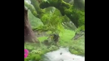 ان الذين يخشون ربهم بالغيب لهم مغفره ورزق كريم بصوت جميل جدا 🌱 تلاوه خاشعه من سوره الملك 🥀