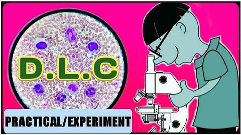 DLC Test | WBC Differential Count | Differential Leukocyte Count