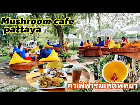 ร้านกาแฟพัทยา Mushroom cafe pattaya(มัสรูมคาเฟ่พัทยา)ฟาร์มเห็ดพัทยา,คาเฟ่-อาหารพัทยา ซอยวัดญาณ