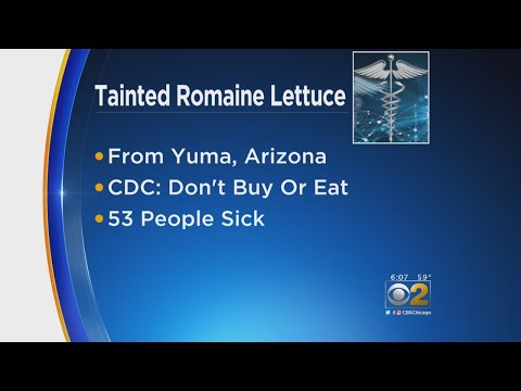 Romaine Lettuce Recall