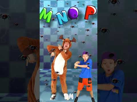 ABC Song Moose