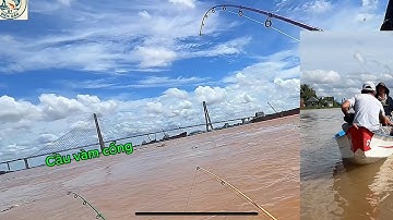 Trãi nghiệm câu khu vực cầu vàm cống