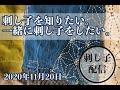 11月20日 刺し子 しながら刺し子のお話（刺し子配信）// 刺し子を知りたい。そして、一緒に刺し子をしたい。