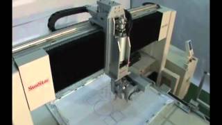 SunStar Head Turning B2 Type wmv