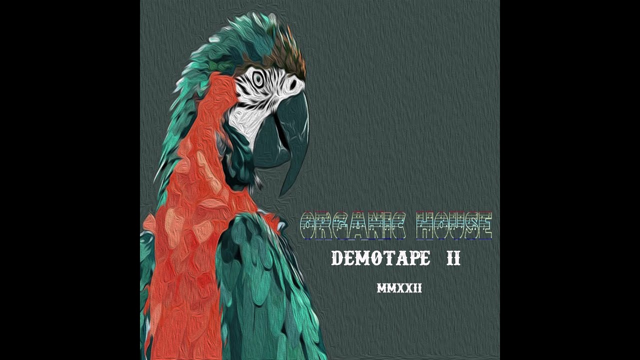 Organic House Mix 2022 by Dj Pandemora