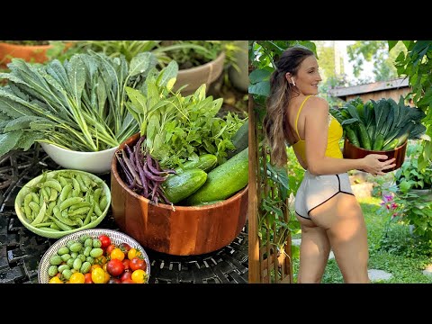 HUGE July Garden haul! Look at these Mouth Watering Veggies! I WOLF OF THE WILD