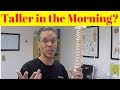 Why are We Taller in the Morning?