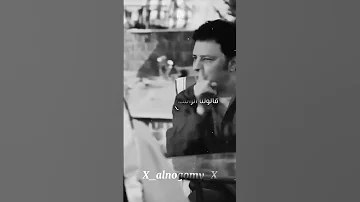 صرخة نملة 