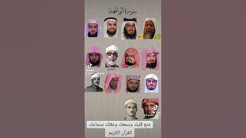 رسائل من القرآن الكريم... تلاوات من القرآن