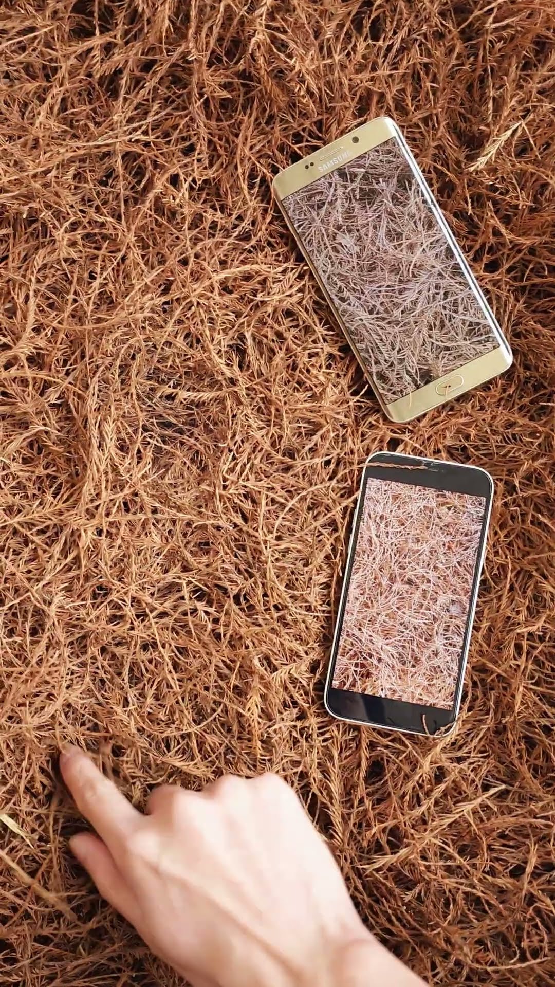 The world's top screen technology! The next target of domestic screens? #Samsung #Mobile #Mobile