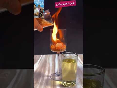  اغرب تجربه علميه 2025      طرائف  عمر ماتريكس