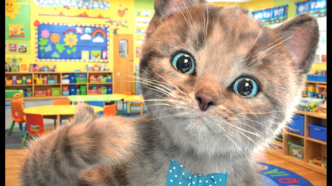 FUNNIEST CATS LITTLE KITTEN ADVENTURE - PLAY CAT CARE GAMES FOR BABY TODDLERS AND CHILDREN FOR KIDS!