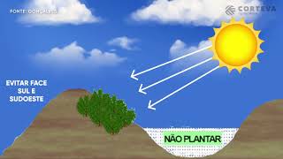 Como proceder no médio e longo prazo?