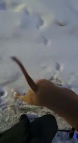 youtube.com