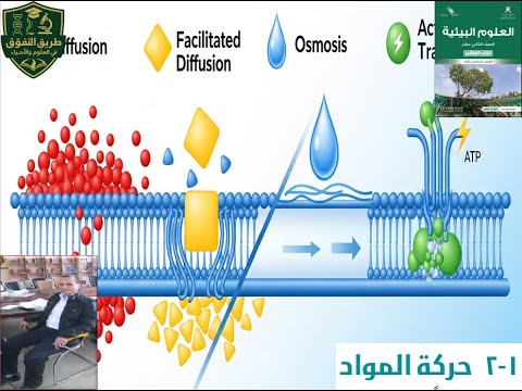 حركة المواد رحلة مثيرة في أسرار حركة المواد ثاني عشر علوم بيئة