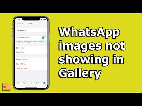 Video: Unde este folderul WhatsApp pe iPhone?