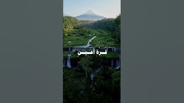 سورة السجدة..عبدالرحمان مسعد.فَلا تَعْلَمُ نَفْسٌ مَا أُخْفِيَ لَهُمْ مِنْ قُرَّةِ أَعْيُنٍ