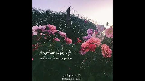 ارح سمعك.اجمل حالات واتس اب قران كريم بصوت جميل جدا💚 ||وديع اليمني ||💚-- تلاوات خاشعة