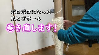 猫爪とぎポール巻き直ししたよ！早速ガリガリ♪