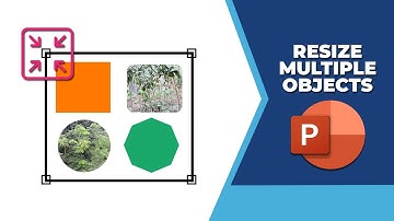 How to resize multiple objects in PowerPoint