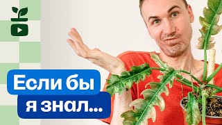 : ,   ,   