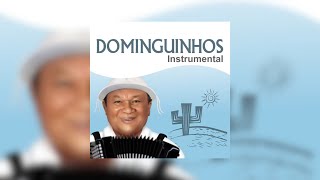 Vignette de la vidéo "Dominguinhos - "Relembrando Meu Pai" (Dominguinhos Instrumental/2014)"