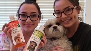 Giving Our Dog a Bath  Merrell Twins