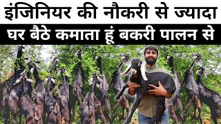 23 साल का इंजिनियर घर पर रहकर Goat Farming से कर रहा हैं लाखों की कमाई | Goat Farming Business