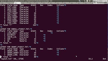 How to request New York City Open Data Information?