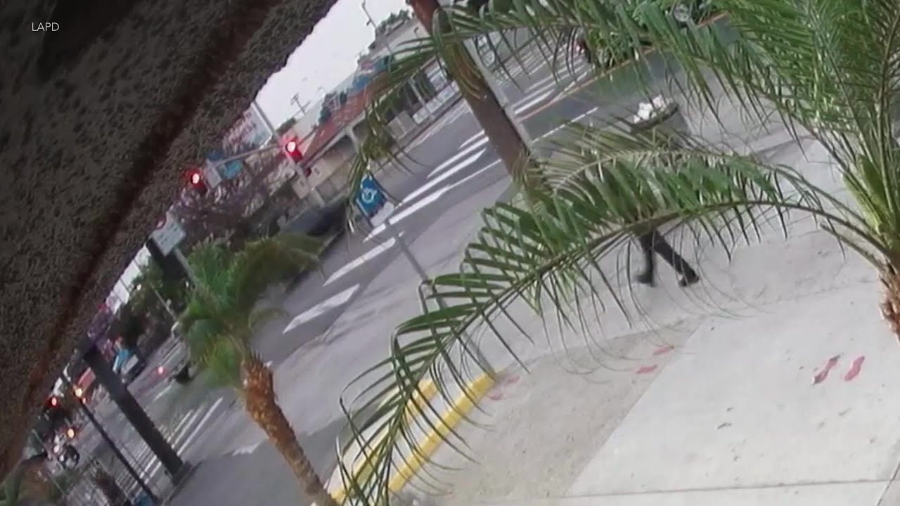 Лос анджелес полиция Лос анджелес полиция