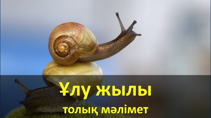 Орыс қызы әкесіне минет жасайды