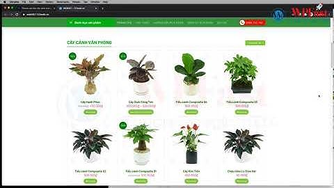 THEME WP BÁN CÂY XANH TRANG TRÍ VĂN PHÒNG