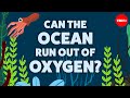 The Gulf of Mexico Dead Zones and the Impact of Eutrophication on Marine Life