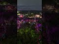 A festival in a forest? Looks amazing 😍 Electric Forest Music Festival in Michigan, USA