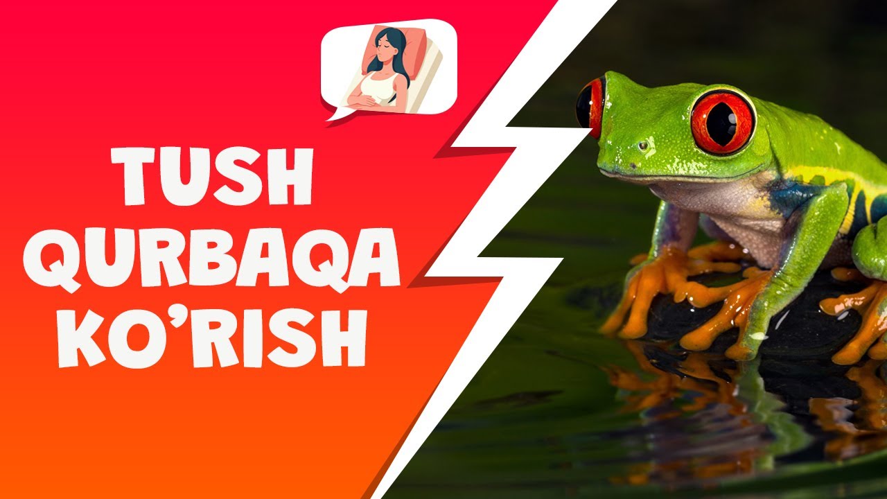 Tushda Baqa qurbaqa ko'rish - YouTube