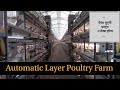 Full Automatic Layer Poultry Farm || Battery Cage System || ऐसा फार्म न देखा होगा || Hello Kisaan