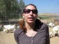 Pierce College pre-vet student on the farm