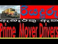 Driver Job Sri Lanka - Job Alerts | Prime Movers Driving |