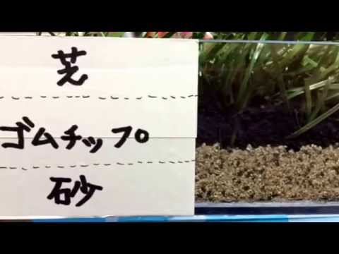 ロングパイル人工芝 サッカー 埼玉県和光市
