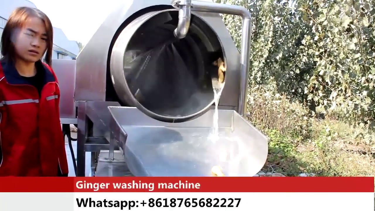 ginger washing machine washer peeling machine