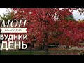 МОЙ ОБЫЧНЫЙ ДЕНЬ, ЦЕНЫ НА ЖИЛЬЕ В ЛИОНЕ