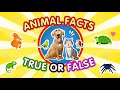 True or false with animals can you guess all the answers  animal quiz